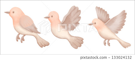 watercolor tropical bird illustration for ecology watercolor tropical bird illustration for ecology 133024132