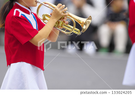 Marching band parade instruments 133024205