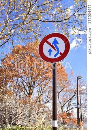 秋末時分，在北海道七江町拍攝路標風景。 133024461