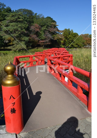 Iwatsuki Castle Ruins Park and Yatsuhashi 133024465