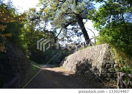 Iwatsuki Castle Ruins Park Iwatsuki Castle Ruins Park 133024467