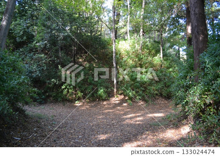 岩槻城遺址公園與護城河 岩槻城遺址公園與護城河 133024474