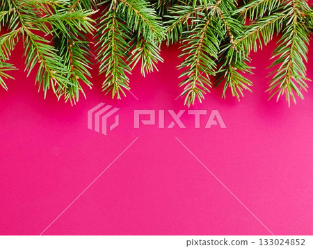 Christmas tree branches on a pink background. 133024852