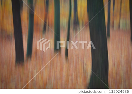 Trees in the forest with fog. Blurred photographed with movement as art. Concept for landscape with winter nature. Cold weather with fog in winter time. 133024986