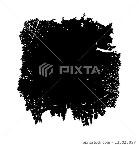 Unique artistic black and white texture resembling natural elements in an abstract composition 133025057