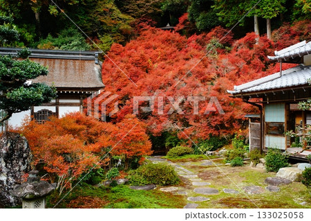 山形市東光寺 133025058