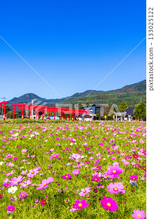 島根縣粟津伊之神社：宇宙田野和朱紅色鳥居 133025122