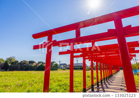 島根縣粟津伊之神社：朱紅色鳥居與宇宙田野 133025123