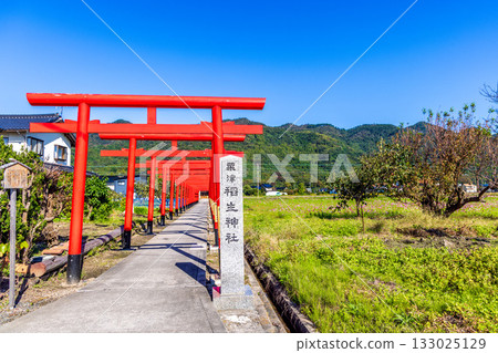 The vermilion torii gate of Awazu Ino Shrine, Shimane Prefecture 133025129