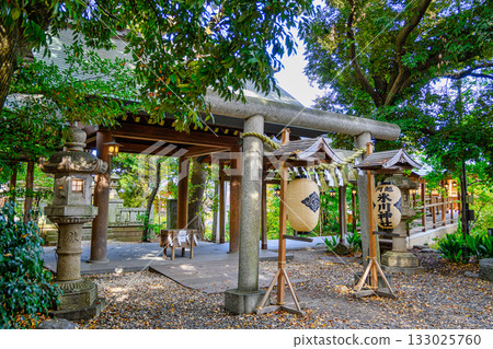 川越市川越冰川神社本館 川越市川越冰川神社本館 133025760