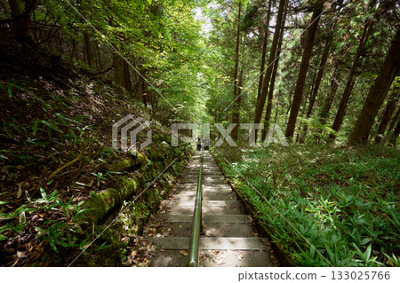 石割神社的長階梯 石割神社的長階梯 133025766