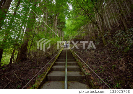 The long staircase of Ishiwari Shrine The long staircase of Ishiwari Shrine 133025768