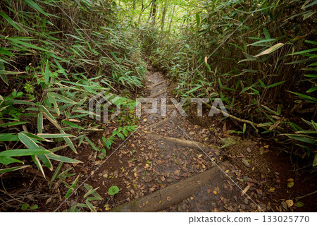 Mountain trail of Ishiwariyama 133025770
