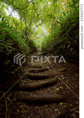 Mountain trail of Ishiwariyama Mountain trail of Ishiwariyama 133025771