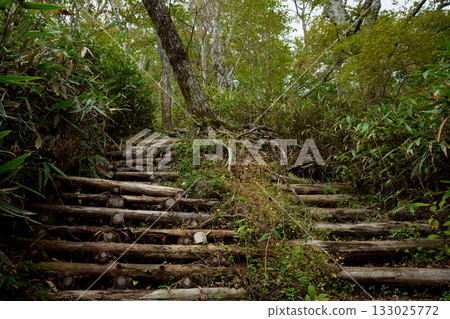Mountain trail of Ishiwariyama 133025772