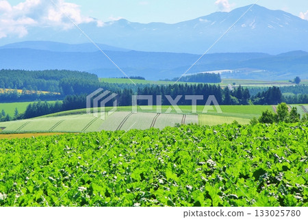Tokachi mountain range and summer land Tokachi mountain range and summer land 133025780