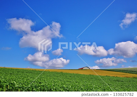 夏天雲彩和地球 夏天雲彩和地球 133025782