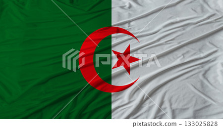 Algerian flag waving. Flag of Algeria with cloth texture 133025828