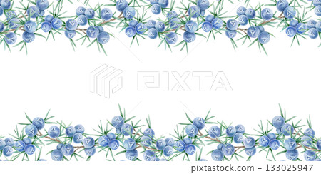 Dense horizontal border of blue juniper berries and green needle foliage painted as hand drawn watercolor illustration. Perfect for stationery, posters, card decoration, wrapping and textiles. 133025947