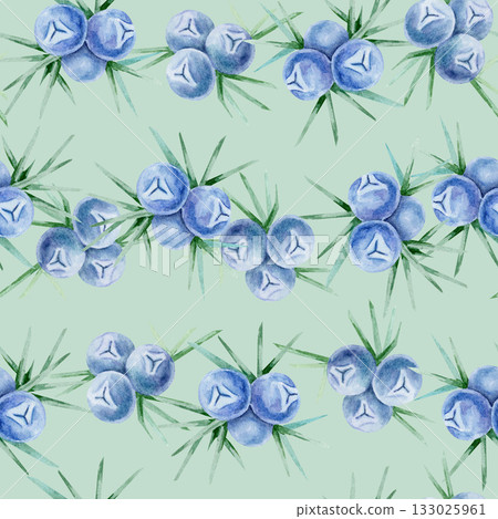Soft green background with scattered blue juniper berries and green needles painted as hand drawn watercolor illustration seamless pattern. Ideal for textiles, wallpaper, paper products and labels. 133025961