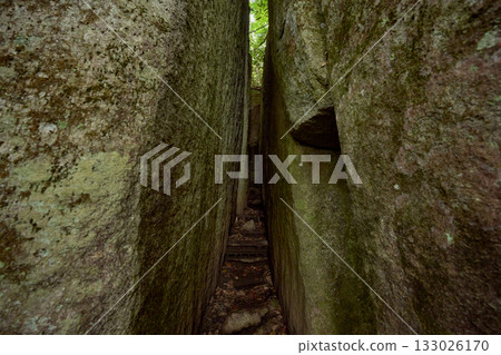Ama-no-Iwato at Ishiwari Shrine 133026170