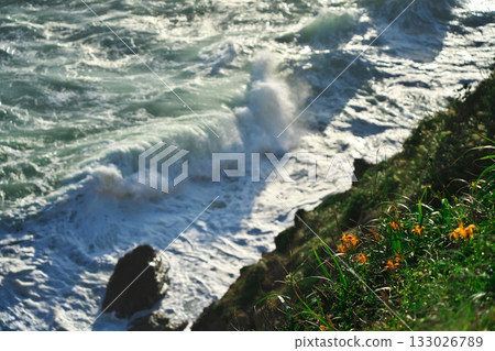 伊良岬:萱草盛開,洶湧的波濤拍打著日之出庭防禦工事的殘骸。 伊良岬:萱草盛開,洶湧的波濤拍打著日之出庭防禦工事的殘骸。 133026789