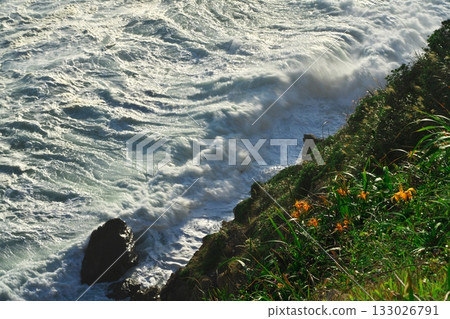 Cape Irago: Daylilies bloom and rough waves crash against the remains of the Hinode Garden's defense post 133026791
