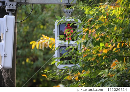 行人紅綠燈 133026814