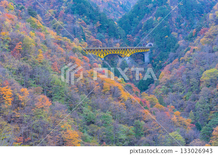 [Saitama Prefecture] Karisaka Bridge leading to the Karisaka Tunnel (Autumn foliage season) 133026943