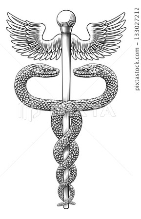 Caduceus Medical Asclepius Rod Doctor Symbol Icon Caduceus Medical Asclepius Rod Doctor Symbol Icon 133027212