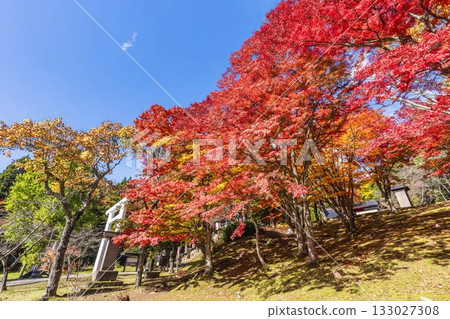 秋日的羽日神社，通往神社的道路兩旁滿是秋葉，位於福島縣豬苗代町 133027308