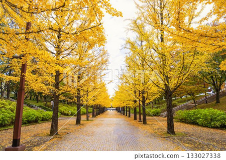 福島縣福島市吾妻運動公園的秋景 133027338