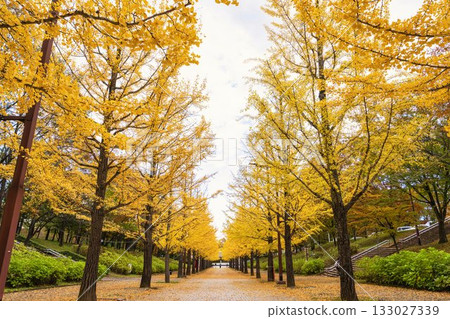 福島縣福島市吾妻運動公園的秋景 福島縣福島市吾妻運動公園的秋景 133027339