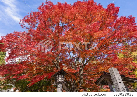 秋日的羽日神社,通往神社的道路兩旁滿是秋葉,位於福島縣豬苗代町 秋日的羽日神社,通往神社的道路兩旁滿是秋葉,位於福島縣豬苗代町 133028033