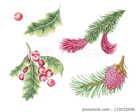Set of holly and Norway spruce twig hand drawn in watercolor with sparkling pencil texture. Green leaves and pink berries create a festive botanical look. Perfect for Christmas card and other project. Set of holly and Norway spruce twig hand drawn in watercolor with sparkling pencil texture. Green leaves and pink berries create a festive botanical look. Perfect for Christmas card and other project. 133028890