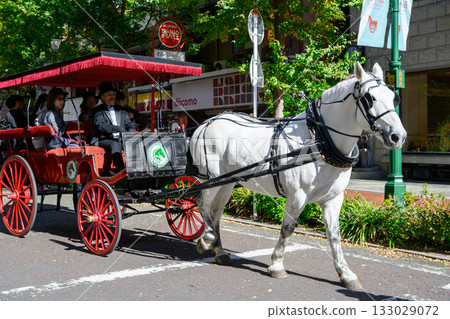 Yokohama City Kannai Culture Day Bashamichi Festival Bashamichi Shopping Street British Horse-Drawn Carriage Test Ride 133029072