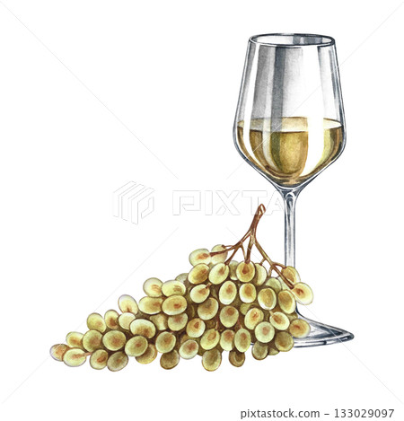 A glass of white wine and a bunch of grapes. Hand-drawn watercolor illustration. Isolated. Color image. For packaging and labels. For banners and posters. For restaurant and bar menus. A glass of white wine and a bunch of grapes. Hand-drawn watercolor illustration. Isolated. Color image. For packaging and labels. For banners and posters. For restaurant and bar menus. 133029097