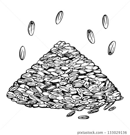 Seeds nut kernels heap of lavender lavandula rice sketch hand drawn in vector ink. French Provence, cosmetics spa aromatherapy. Single object isolated illustration. Seed packet art, home apothecary 133029136