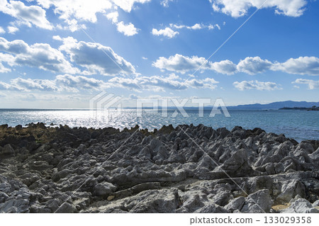 Dragon Pine Tree, Iwaizaki Coast, Kesennuma City 133029358