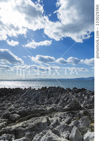 Dragon Pine Tree, Iwaizaki Coast, Kesennuma City 133029360