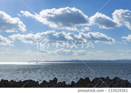 Dragon Pine Tree, Iwaizaki Coast, Kesennuma City 133029361