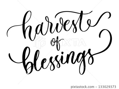 Elegant calligraphy phrase harvest of blessings in inspirational spiritual lifestyle style for decor and design 133029373