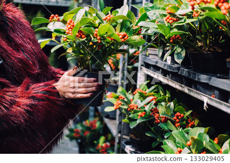 Woman holding a winterberry plant during Christmas shopping in a garden center focused on seasonal, nature-inspired lifestyle retail 133029405