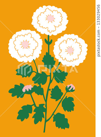 Three white flowers with green leaves and pink buds on orange background in flat illustration 133029456