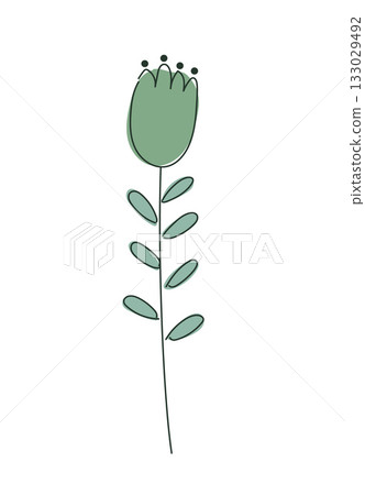 Simple green flower with oval leaves and round buds drawn in minimalist linear illustration 133029492
