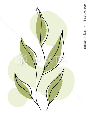 Minimal branch with thin black outline and light green leaves on soft green circular shapes Minimal branch with thin black outline and light green leaves on soft green circular shapes 133029496