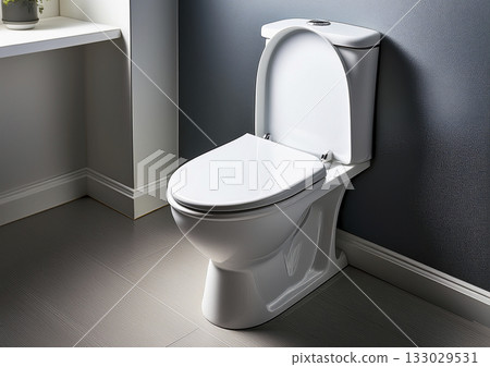 A clean and simple toilet A clean and simple toilet 133029531