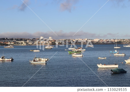 Traditional Fishing Boats Anchored in Cascais Bay, Portugal 133029535