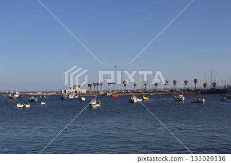Traditional Fishing Boats Anchored in Cascais Bay, Portugal 133029536