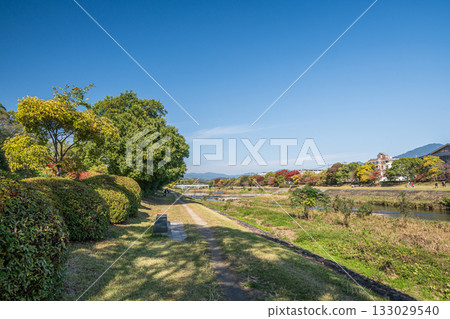 京都市鴨川的秋景 133029540